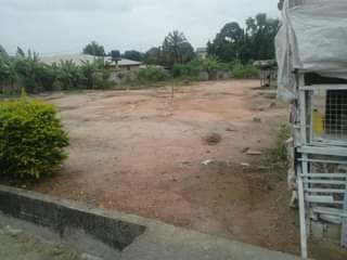 Barimah K.