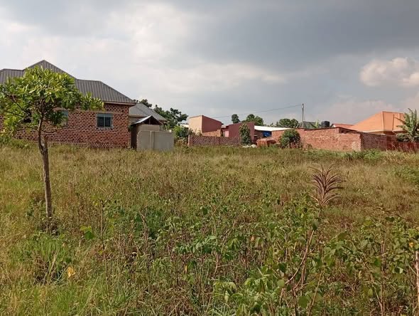 houses matugga