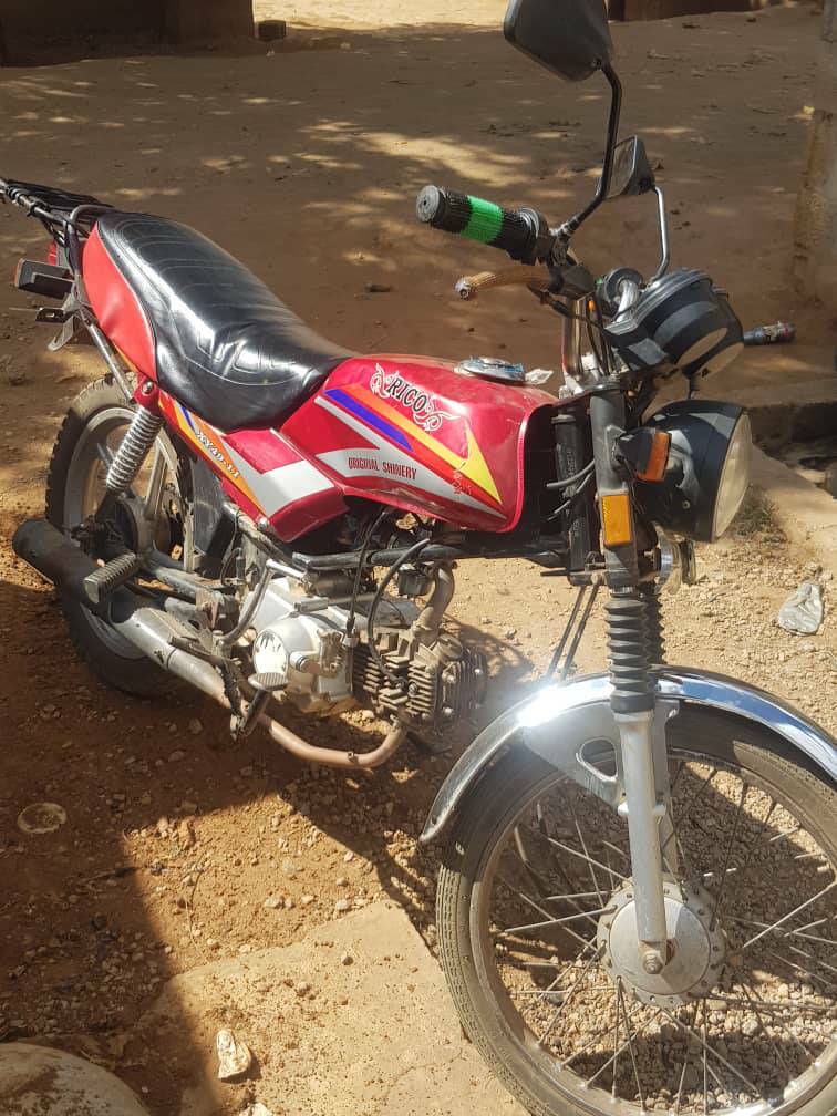 motorbikes