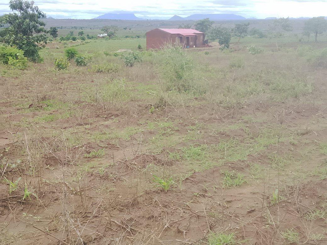 land