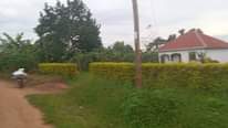 A picture of Commercial plot on quick sale at matugga migadde