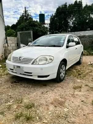 used toyota runx