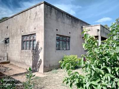 kabanana