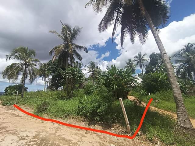 A picture of Kiwanja kizuri kabisa