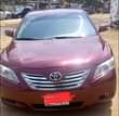 A picture of Camry spider