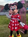 A picture of MICKEY MOUSE AND MIMMY MOUSE CHARACTERS