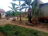 A picture of Plot for sale