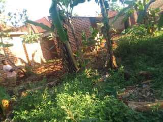 A picture of 50by100ft on sale In kisoga town along mukono katosi road