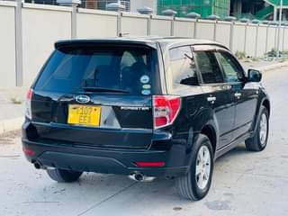 A picture of Subaru