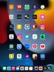 A picture of Ipad 4 mini wifi