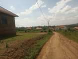 A picture of 38m 38m Hot deal quick sale 38m plot size 100by100ft
