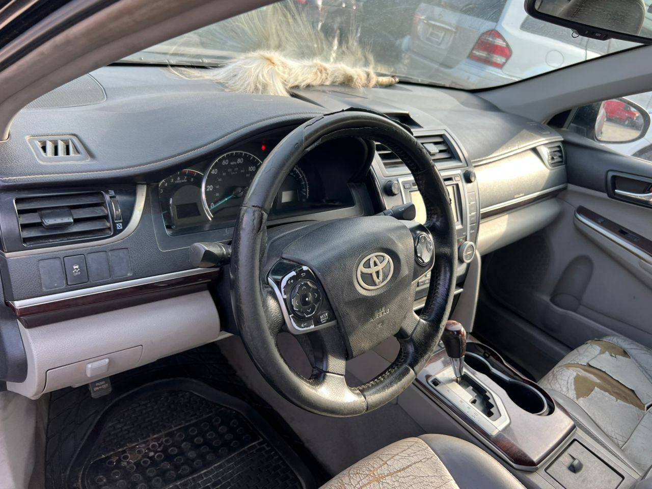 A picture of 2013 camry