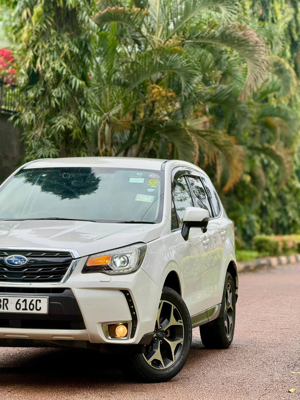 A picture of Subaru forester