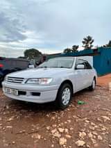 A picture of 1999 Toyota Corolla Premio