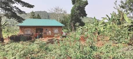 A picture of 3 arces on sale 70m each at kakiri