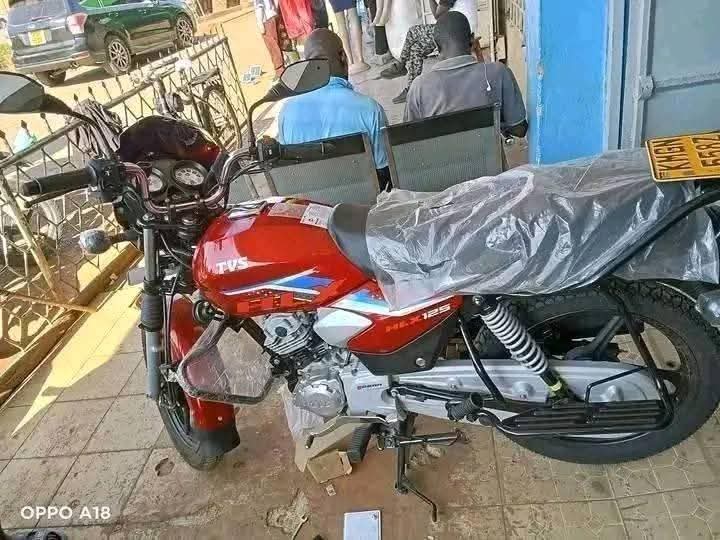 motorbikes
