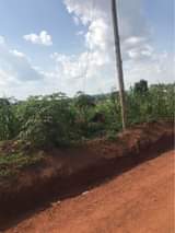 A picture of Land For Sale 13m