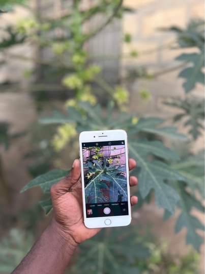 A picture of iPhone 8 