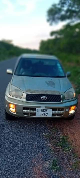 used toyota rav4