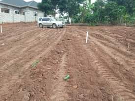 A picture of Plots