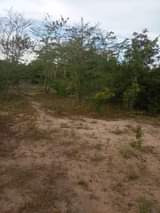 A picture of ZIMEBAKI HEKA 35 SHAMBA LAKUSAFISHA LINAUZWA MZENGA ZEGERO WILAYA YA