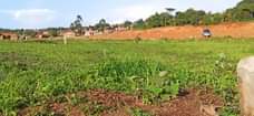A picture of Plots on sale kawempe