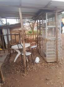 A picture of Business for sell