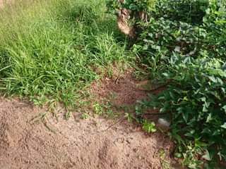 A picture of Je unahitaji pagara na kiwanja chake eneo lipo karibu na