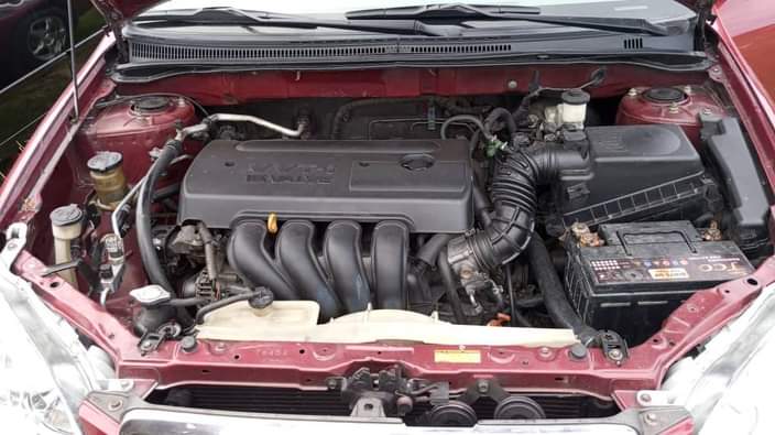A picture of Purely first body Belgium standard Toyota Corolla 2005 6 model