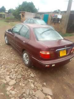 used nissan sylphy