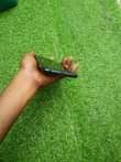 A picture of Tecno spark2