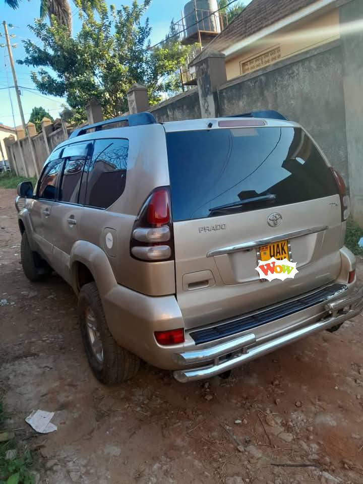 used toyota prado