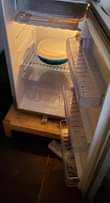 A picture of ADH single door fridge for sell
