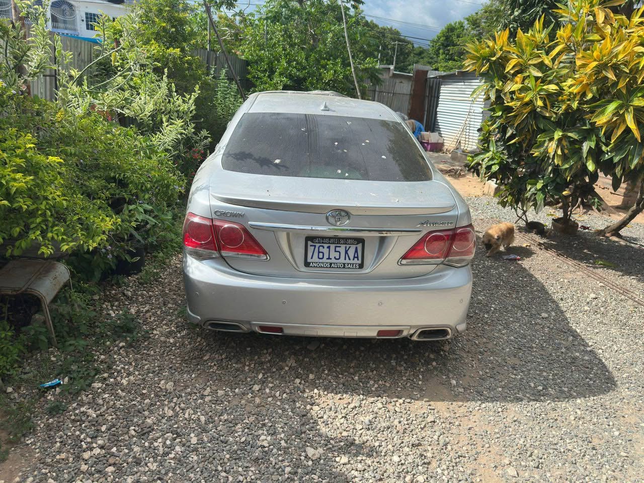 cars