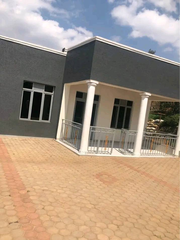 houses for rent