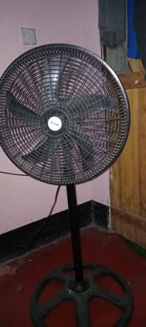 A picture of FENI INAUZWA BEI POA SANA