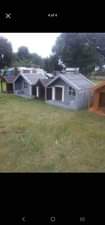 A picture of DOG HOUSES