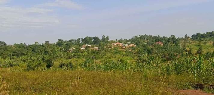 houses matugga