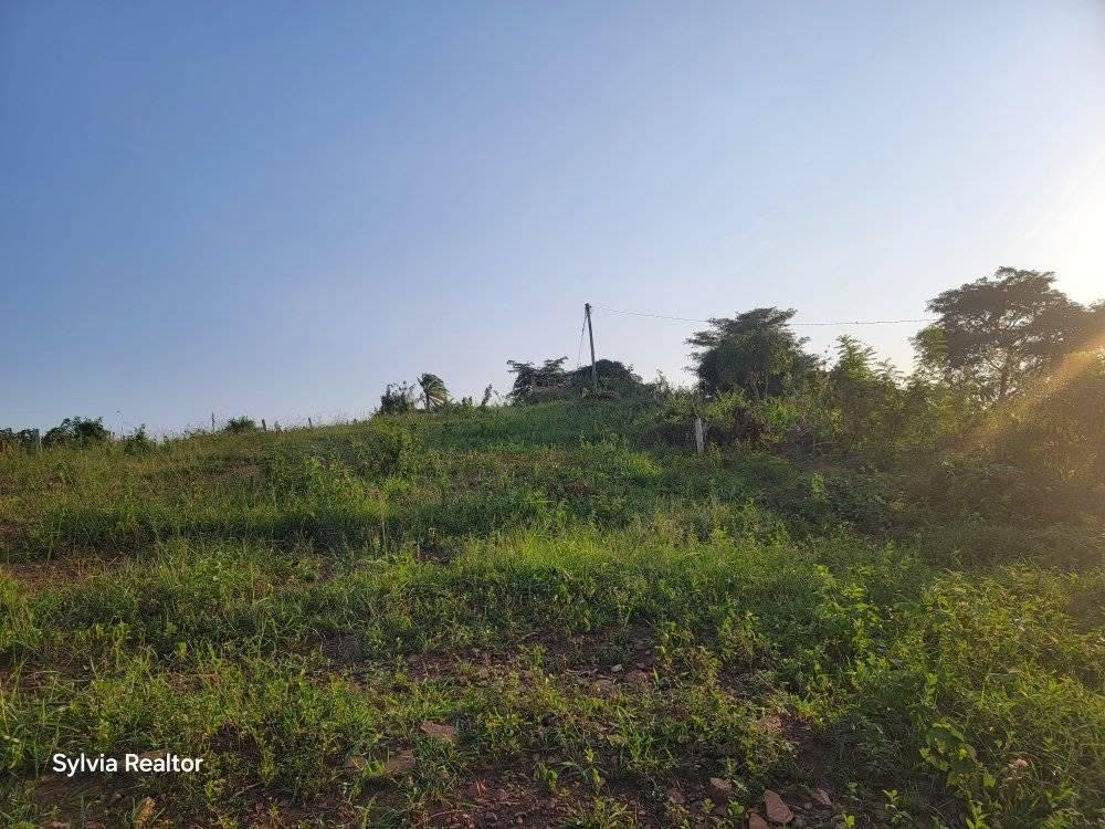 houses wakiso