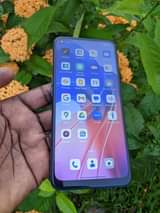 A picture of Oppo A55