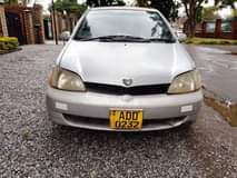 used toyota platz