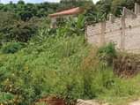 A picture of Makindye kizungu nice plot on quick sale