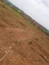 A picture of Plots of land on sell in Matugga Buwambo close to
