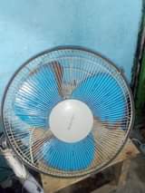 A picture of NAUZA FENI Y JUU MWANAMKE NYONGA EVERNAL OG 0786494436