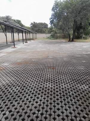 Rustenburg's Q.