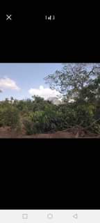 A picture of SHAMBA JINGINE ZURI HEKA SITA LINAUZWA LIPO ZEGERO MZENGA MKOA