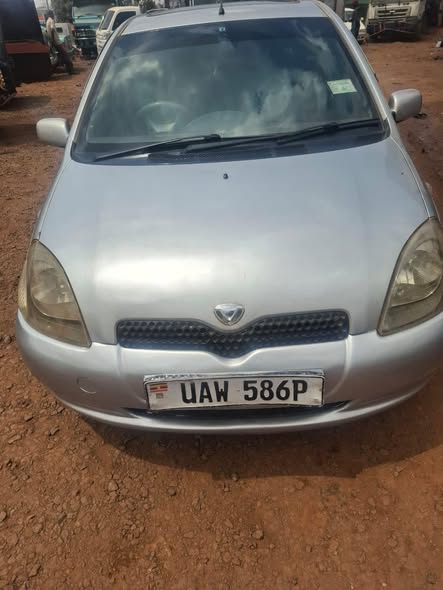 A picture of Vitz