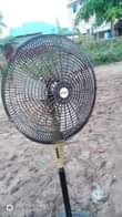A picture of Feni Aniko