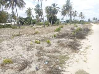 A picture of 0765291521 0679291521 KIWANJA SQM 2000 PAMEPIMWA KINA HATI MILIKI CHANIKA