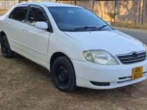 classifieds recent import